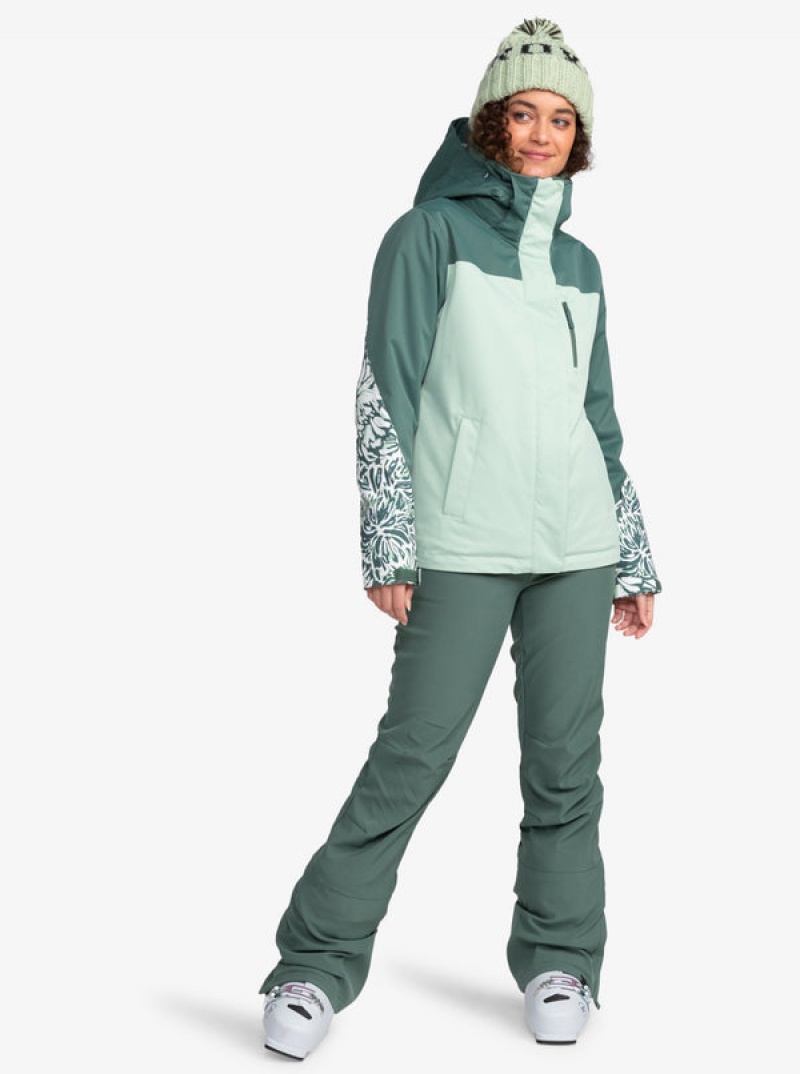 Roxy Jetty Block Technical Snowboard Jackets | KNIU-94837