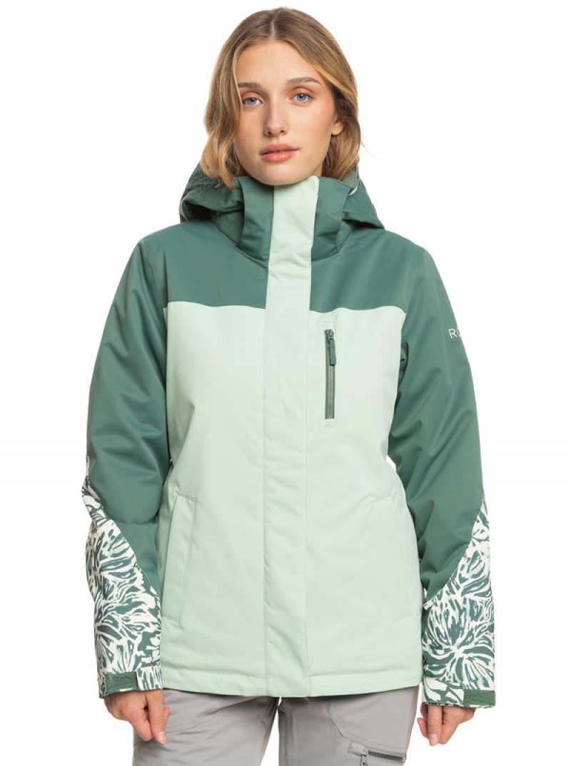 Roxy Jetty Block Technical Snowboard Jackets | KNIU-94837