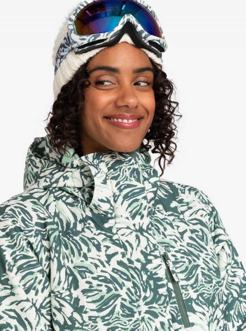 Roxy Jetty Technical Snowboard Jackets | OWDA-02954