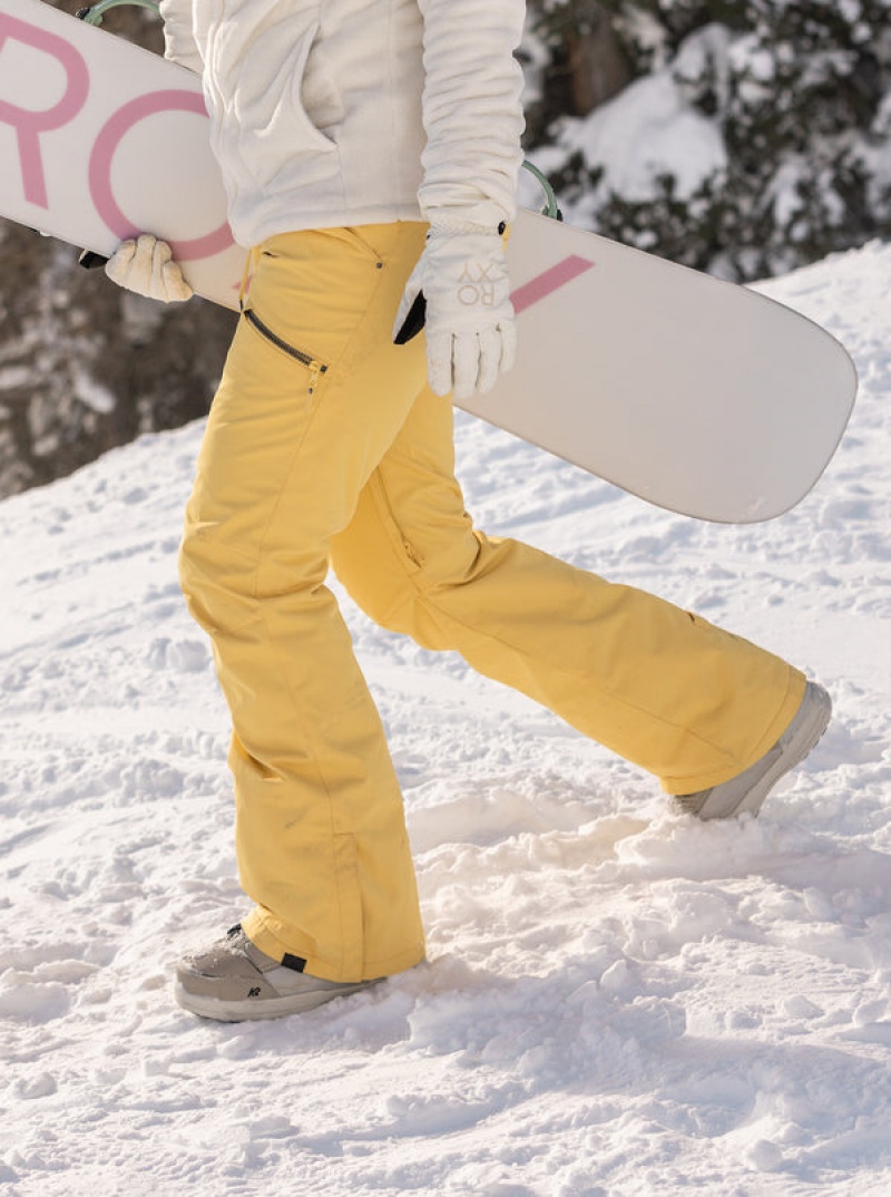 Roxy Nadia Technical Snowboard Pants | EIKV-64981