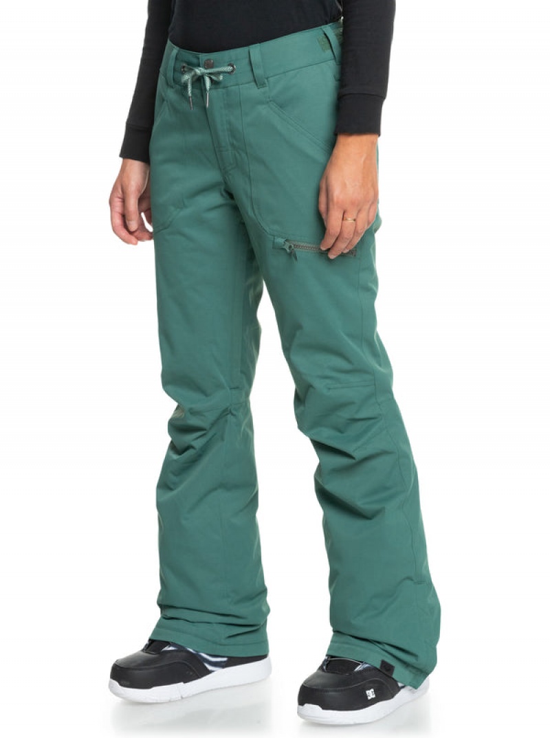 Roxy Nadia Technical Snowboard Pants | UKXC-09672