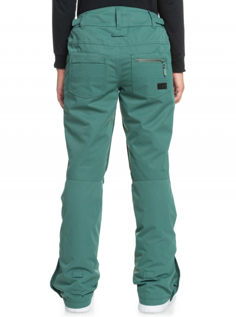 Roxy Nadia Technical Snowboard Pants | UKXC-09672