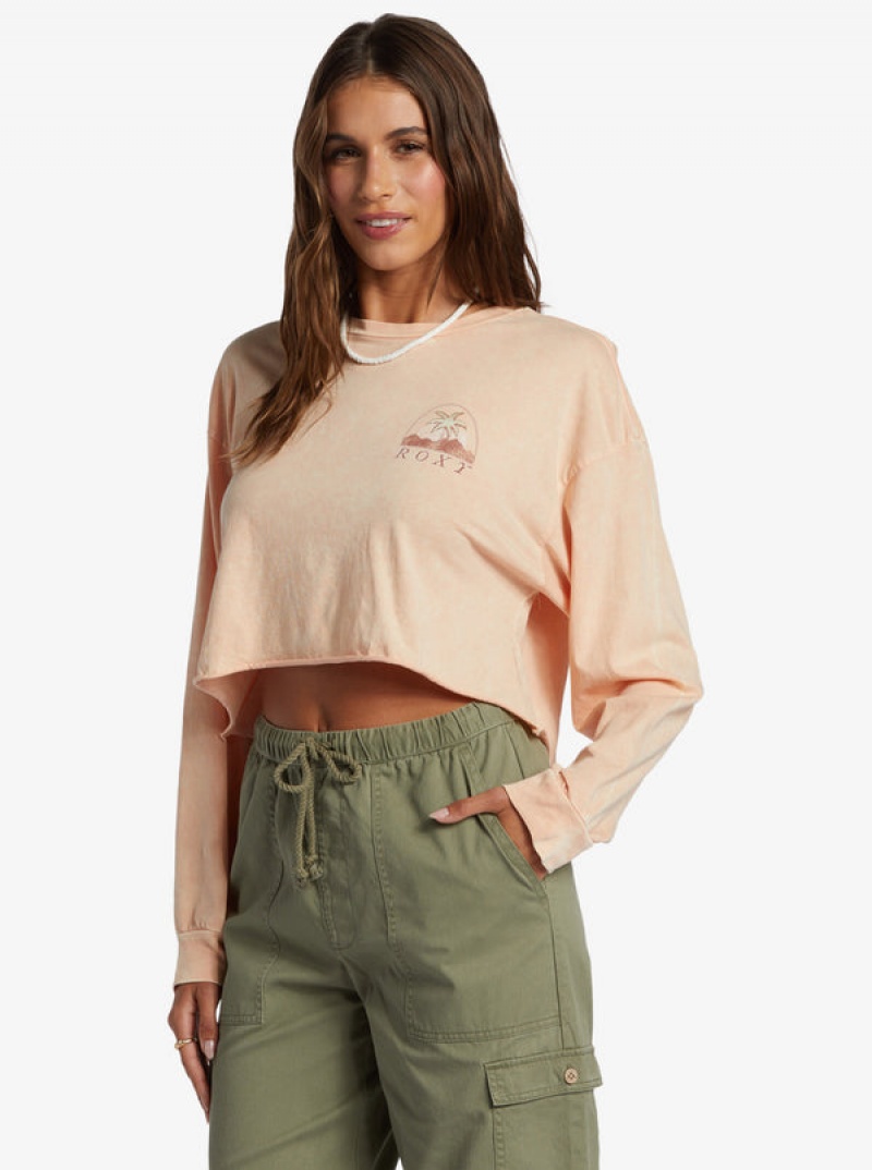 Roxy Palm Arcana Cropped Oversized Long Sleeve Hoodie | GVWD-58132