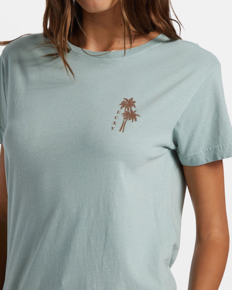 Roxy Palm Springs Boyfriend T Shirts | 19260FZYG