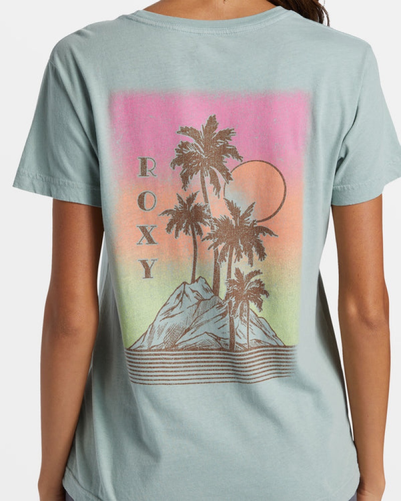 Roxy Palm Springs Boyfriend T Shirts | 19260FZYG