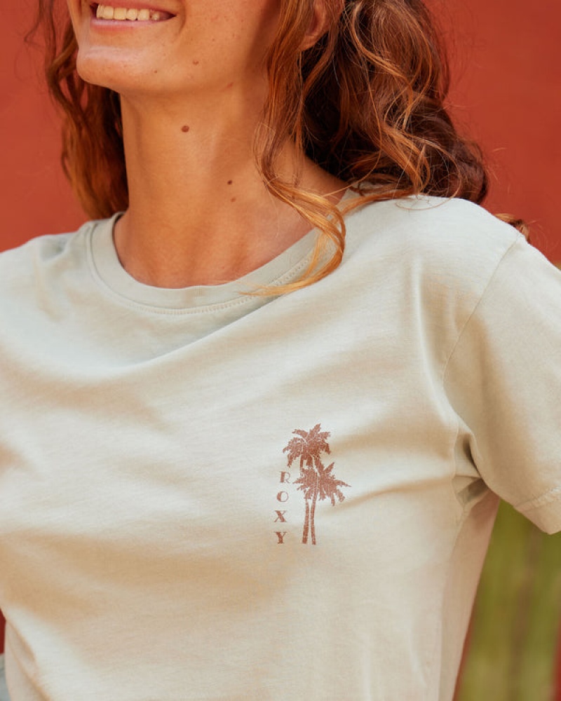 Roxy Palm Springs Boyfriend T Shirts | 19260FZYG