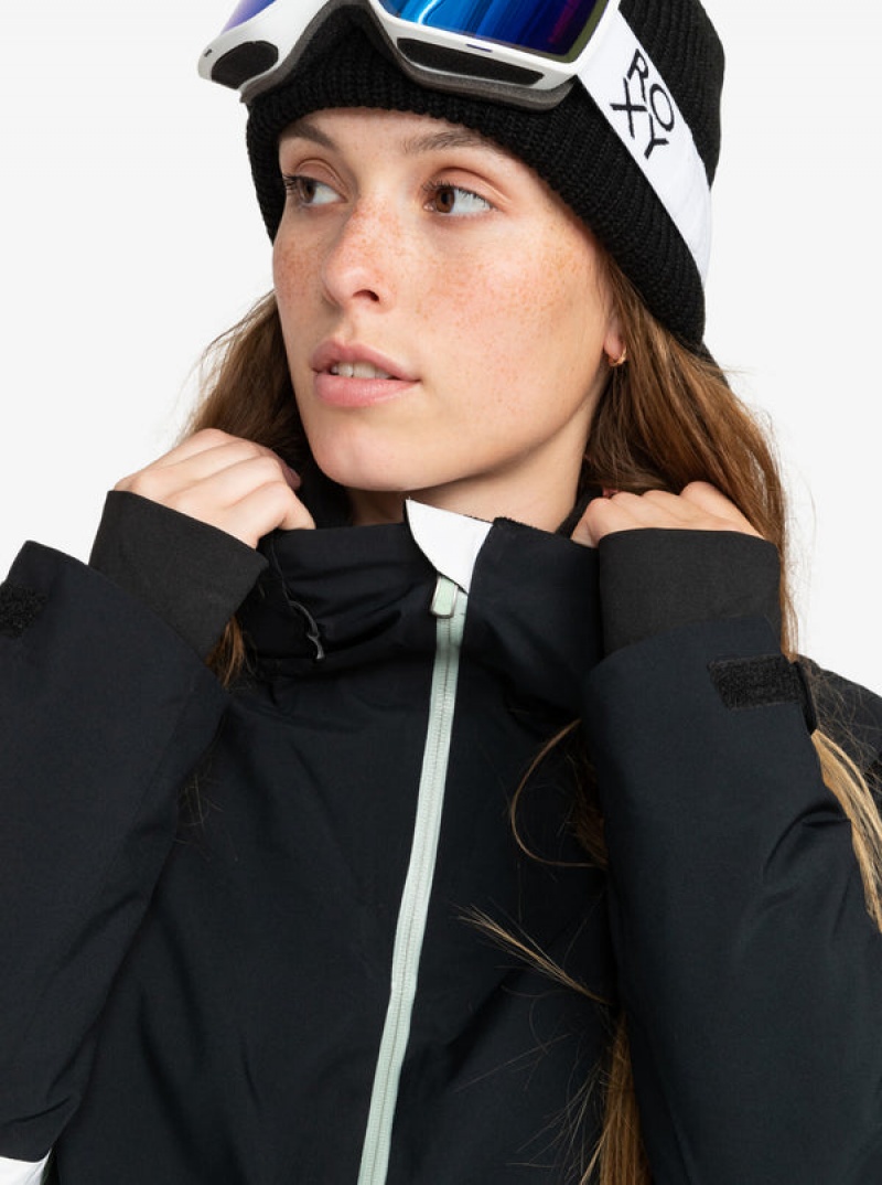 Roxy Peakside Technical Snowboard Jackets | WTSV-87091