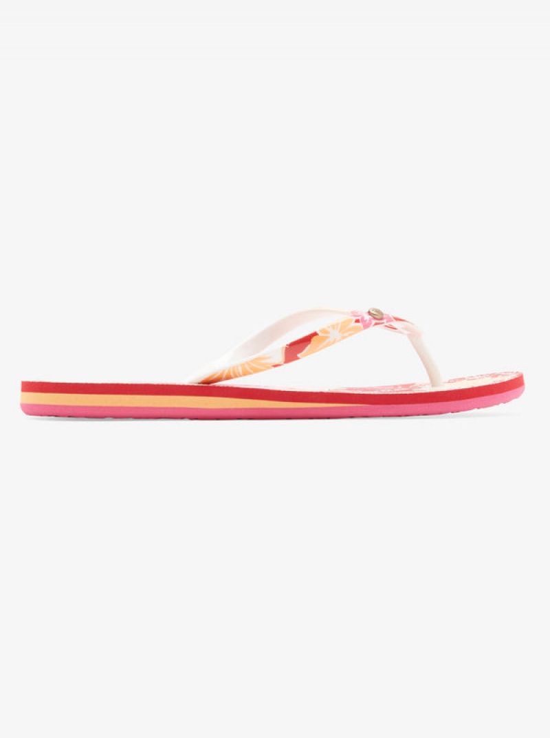 Roxy Portofino Flip Flops | TFRZ-23046