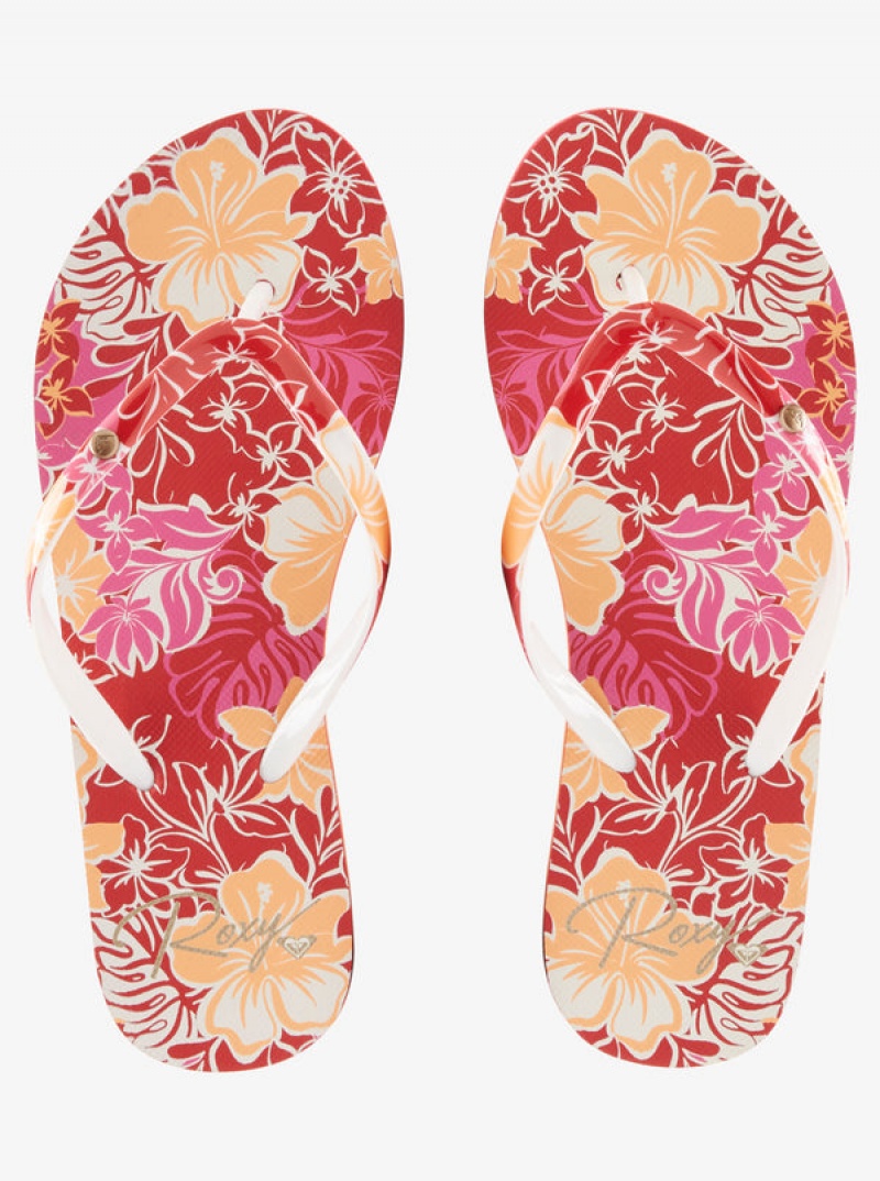 Roxy Portofino Flip Flops | TFRZ-23046