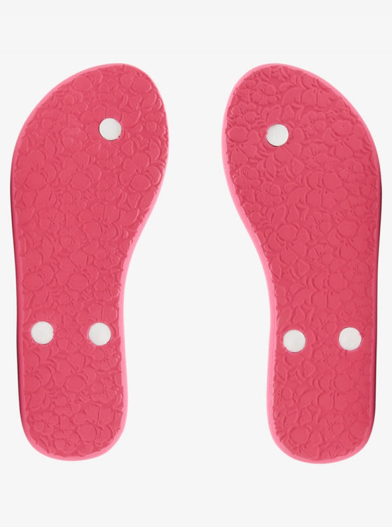 Roxy Portofino Flip Flops | TFRZ-23046