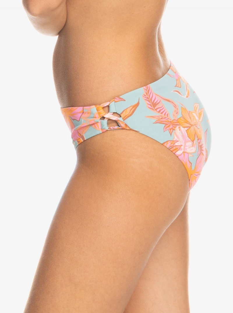 Roxy Printed Beach Classics Hipster Bikini Bottoms | BRDS-94781