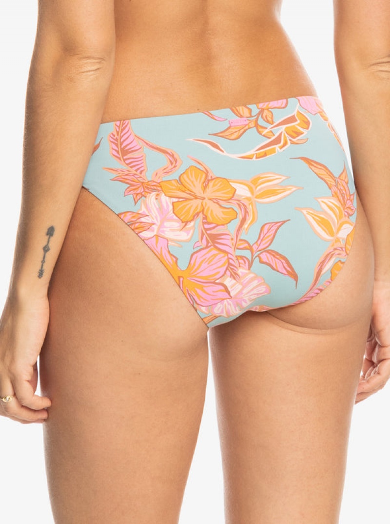 Roxy Printed Beach Classics Hipster Bikini Bottoms | BRDS-94781