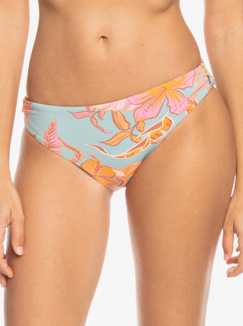 Roxy Printed Beach Classics Hipster Bikini Bottoms | BRDS-94781