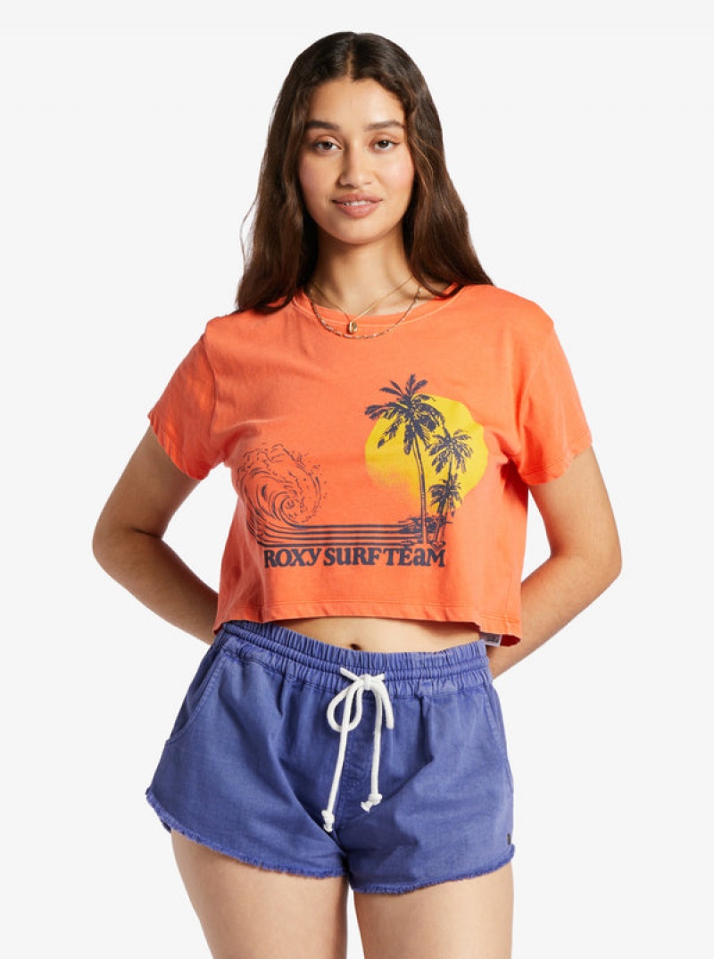 Roxy Retro Surf Team Sleeveless Muscle T Shirts | 74253ICAW