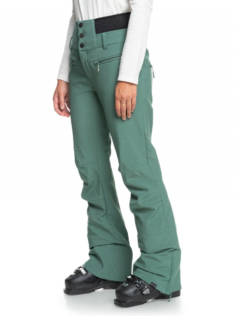 Roxy Rising High Technical Snowboard Pants | CUXS-95103