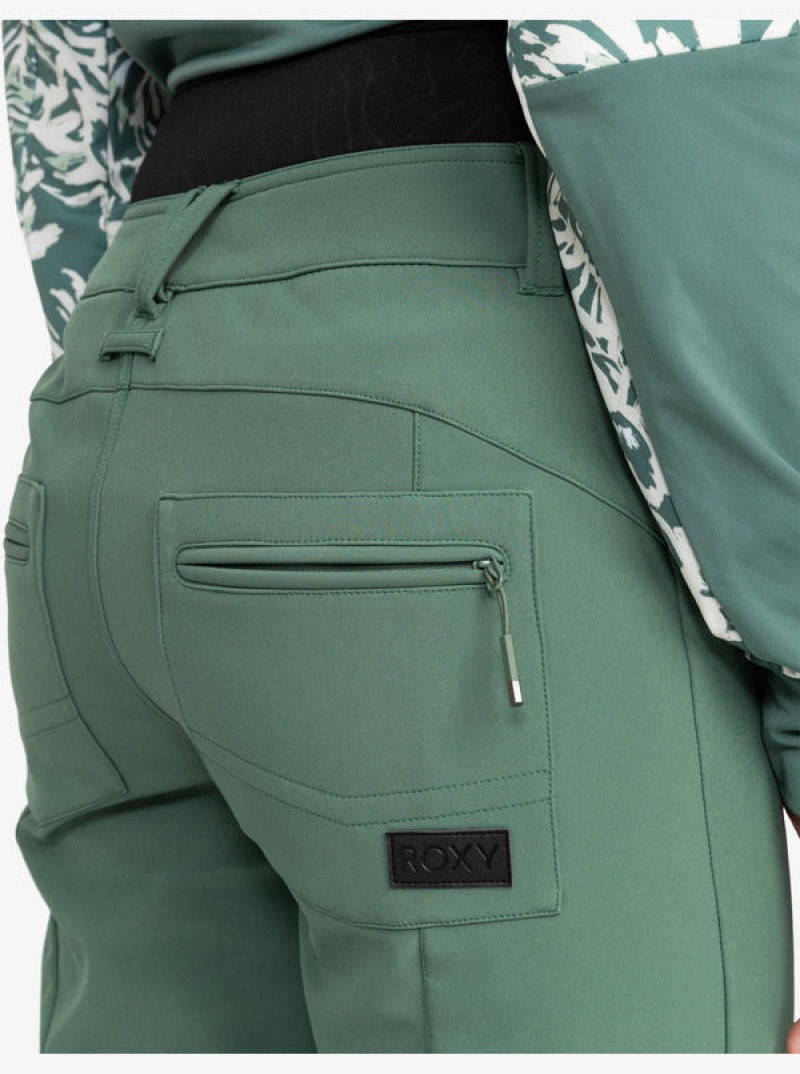 Roxy Rising High Technical Snowboard Pants | CUXS-95103