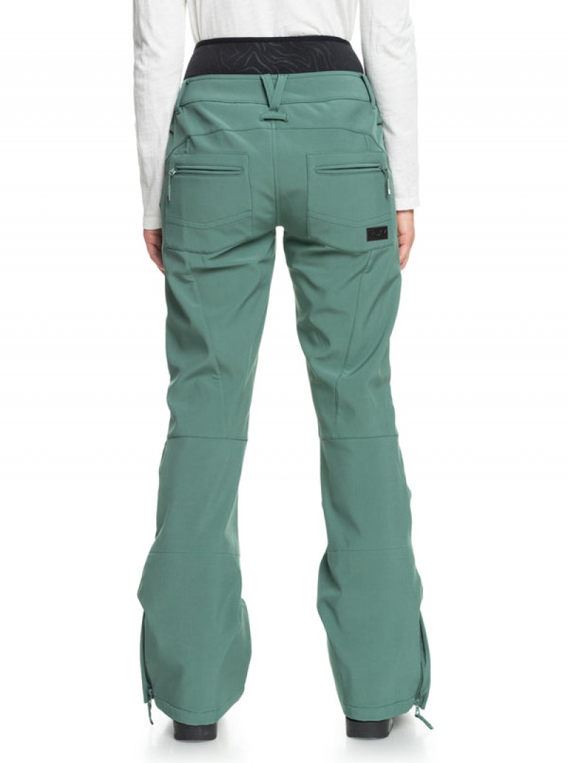 Roxy Rising High Technical Snowboard Pants | CUXS-95103