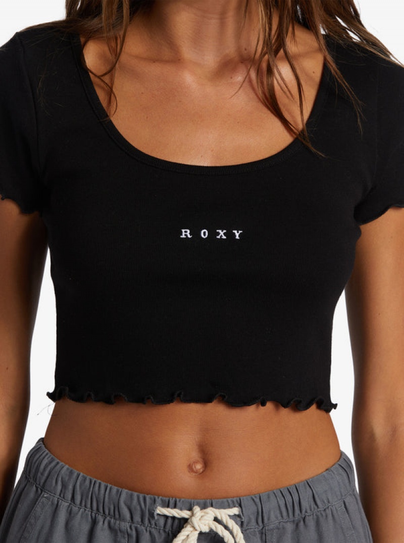 Roxy Roxify Scoop Neck T Shirts | 01978SQTZ