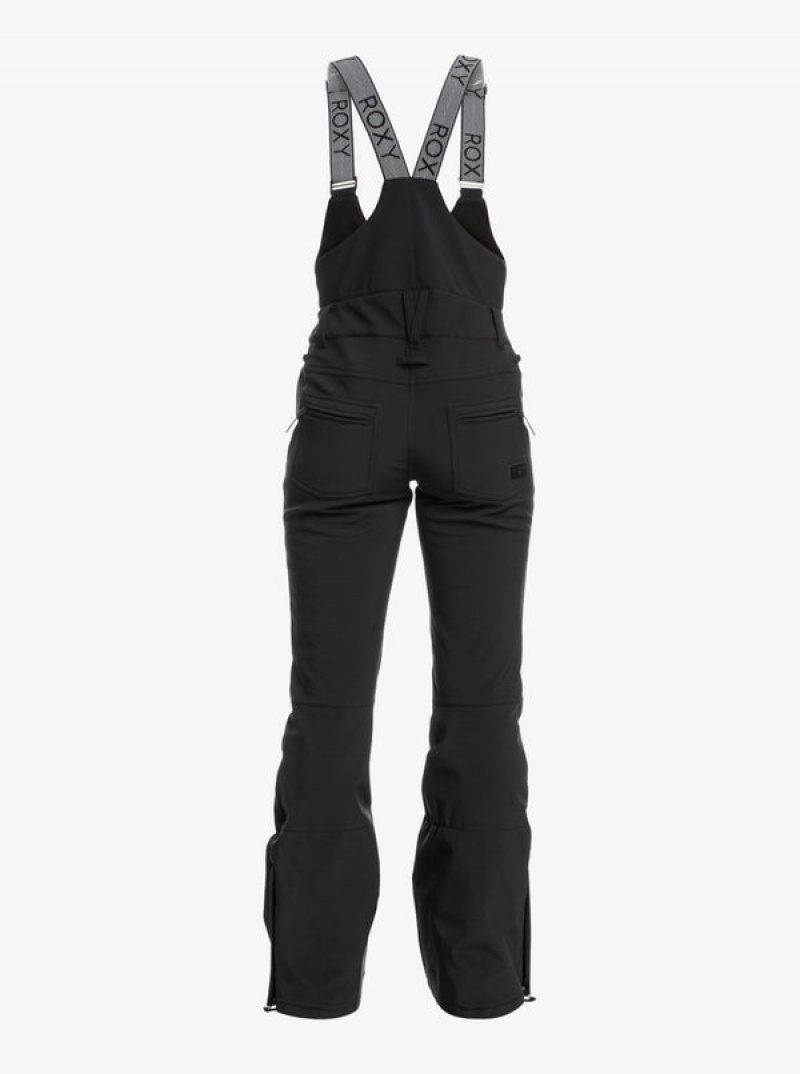 Roxy Summit Technical Bib Snowboard Pants | OCVW-90435