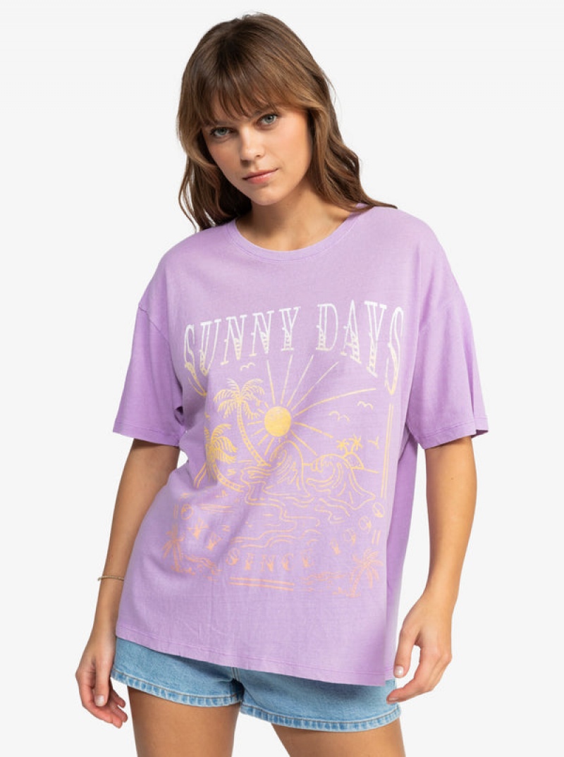 Roxy Sunny Days Oversized T Shirts | 20735EKIN