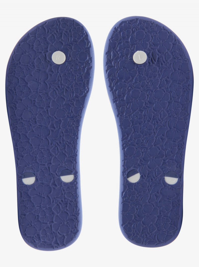 Roxy Tahiti Flip Flops | LKUY-02859