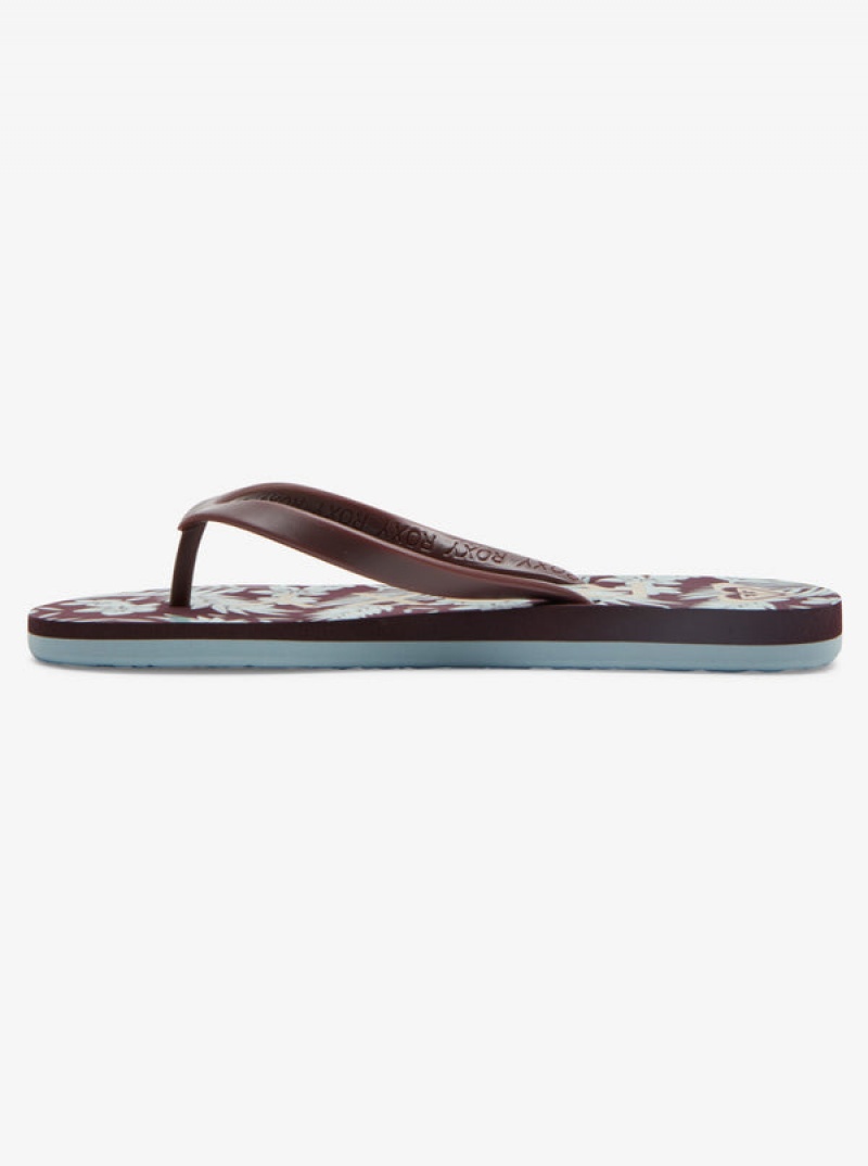 Roxy Tahiti Flip Flops | XKWC-96357