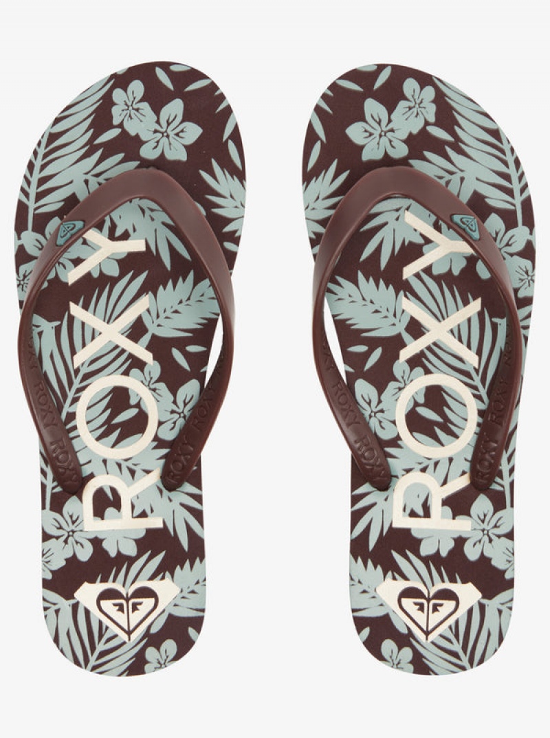 Roxy Tahiti Flip Flops | XKWC-96357