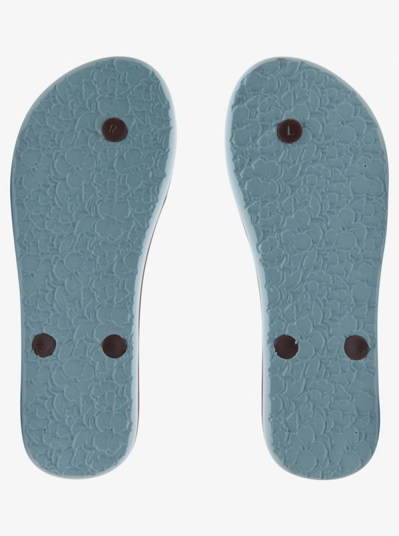 Roxy Tahiti Flip Flops | XKWC-96357