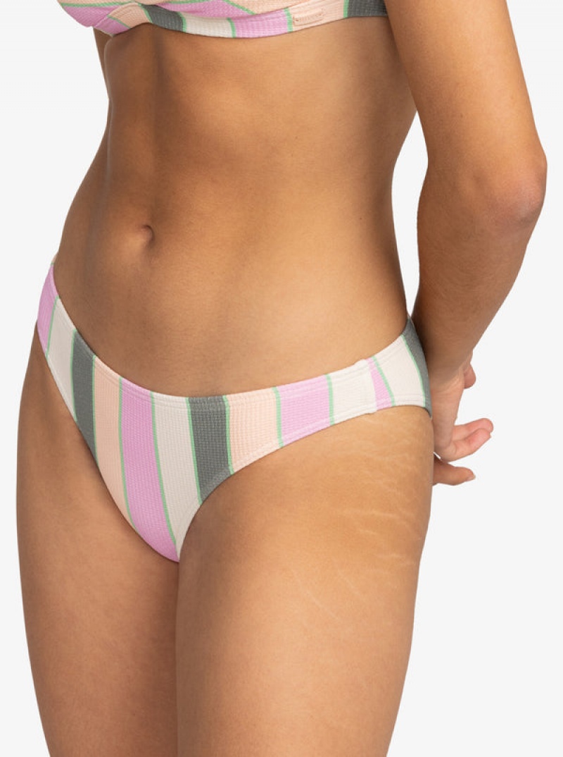 Roxy Vista Stripe Medium Bikini Bottoms | CGYV-12790