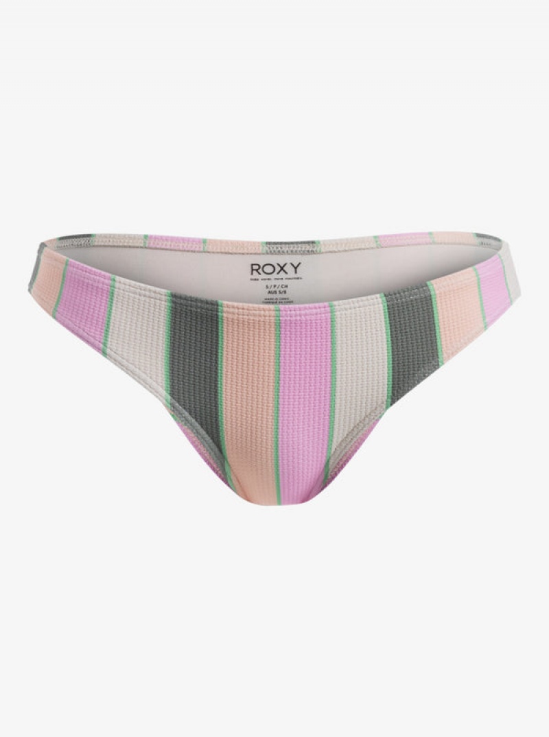 Roxy Vista Stripe Medium Bikini Bottoms | CGYV-12790