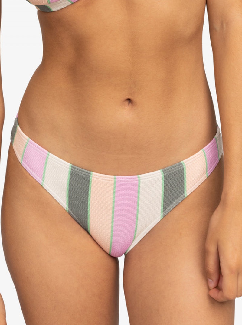 Roxy Vista Stripe Medium Bikini Bottoms | CGYV-12790