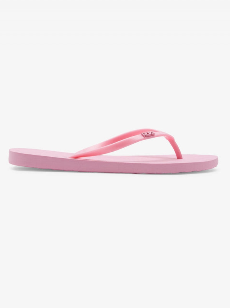 Roxy Viva Flip Flops | EFBR-24081