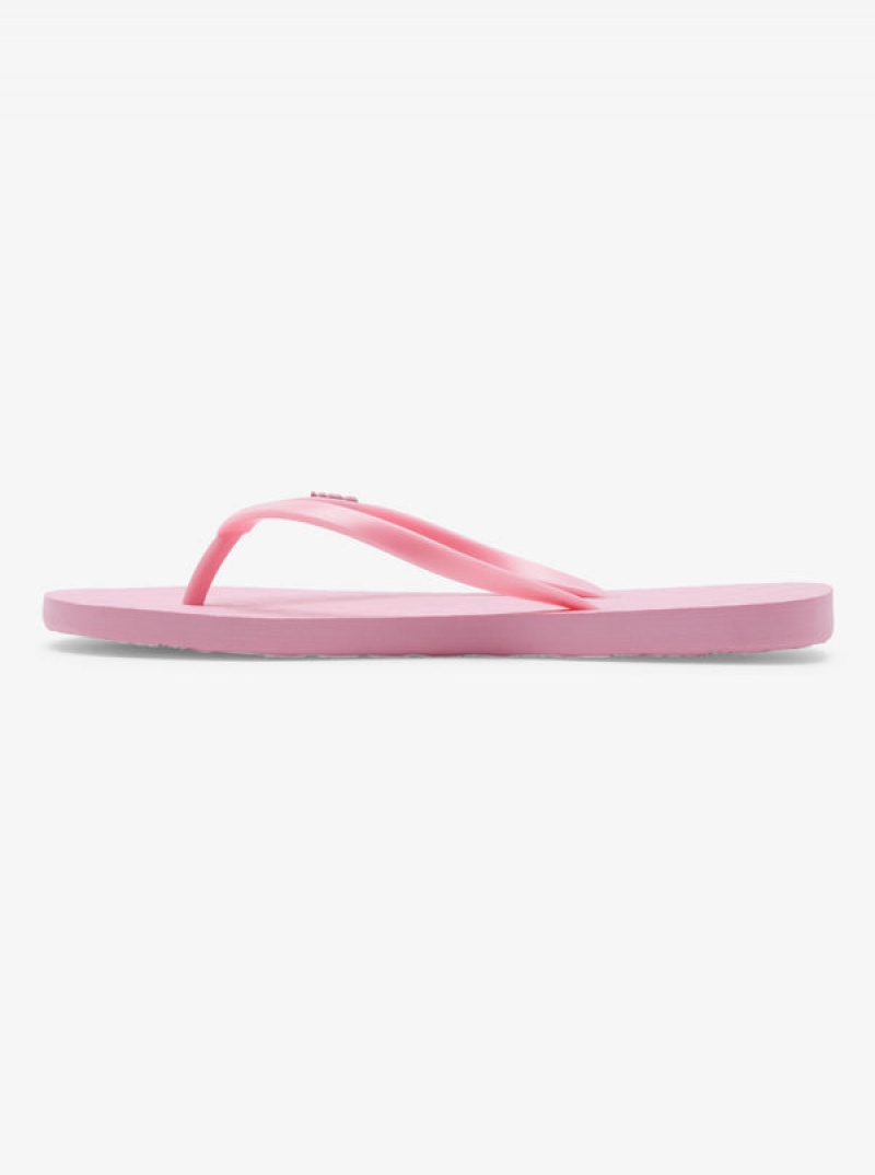 Roxy Viva Flip Flops | EFBR-24081