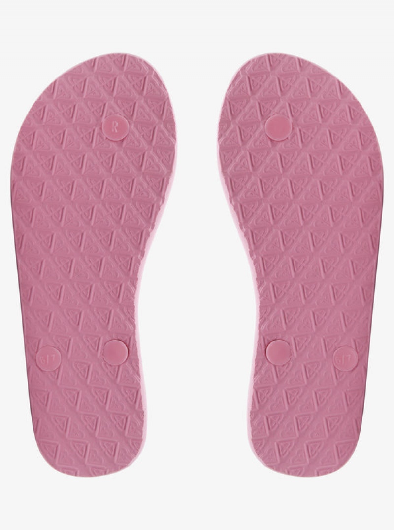 Roxy Viva Flip Flops | EFBR-24081