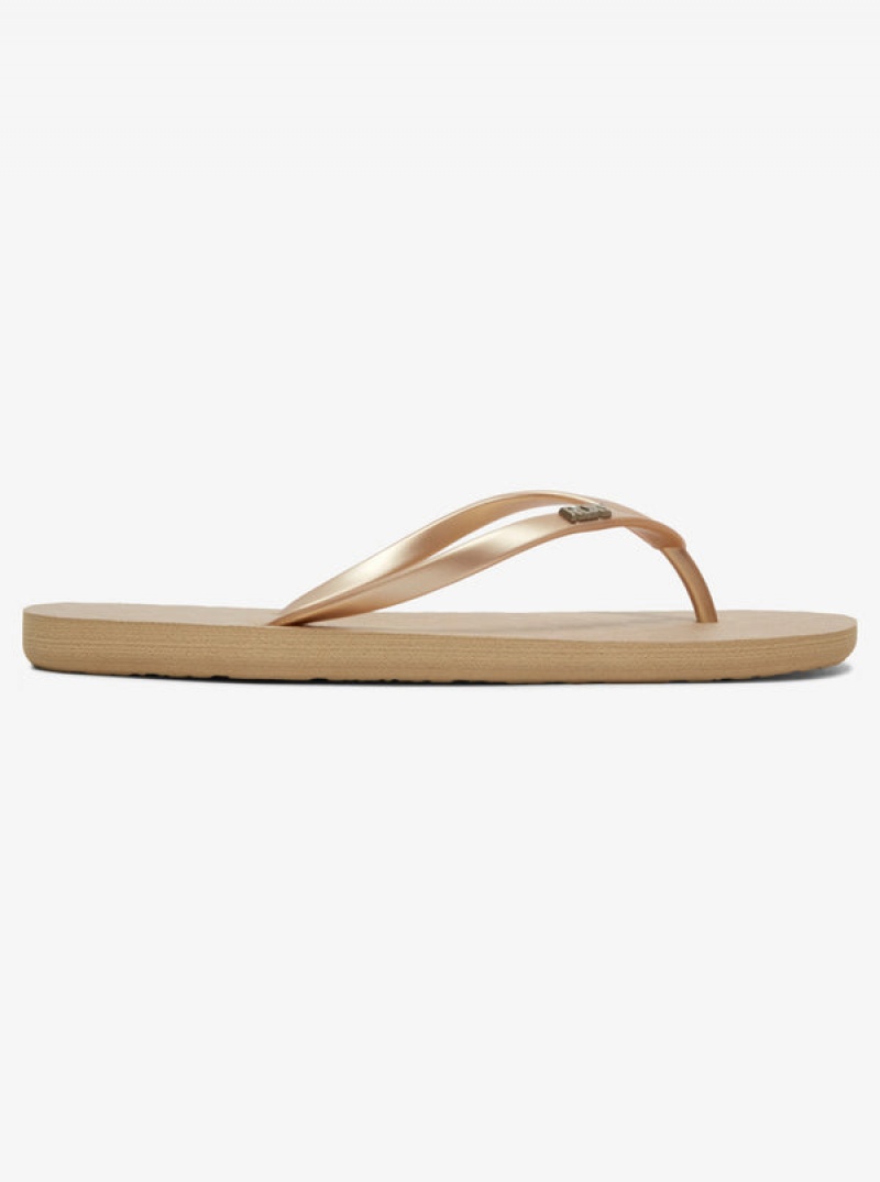 Roxy Viva Flip Flops | PMGI-69318