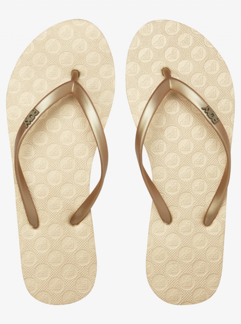 Roxy Viva Flip Flops | PMGI-69318