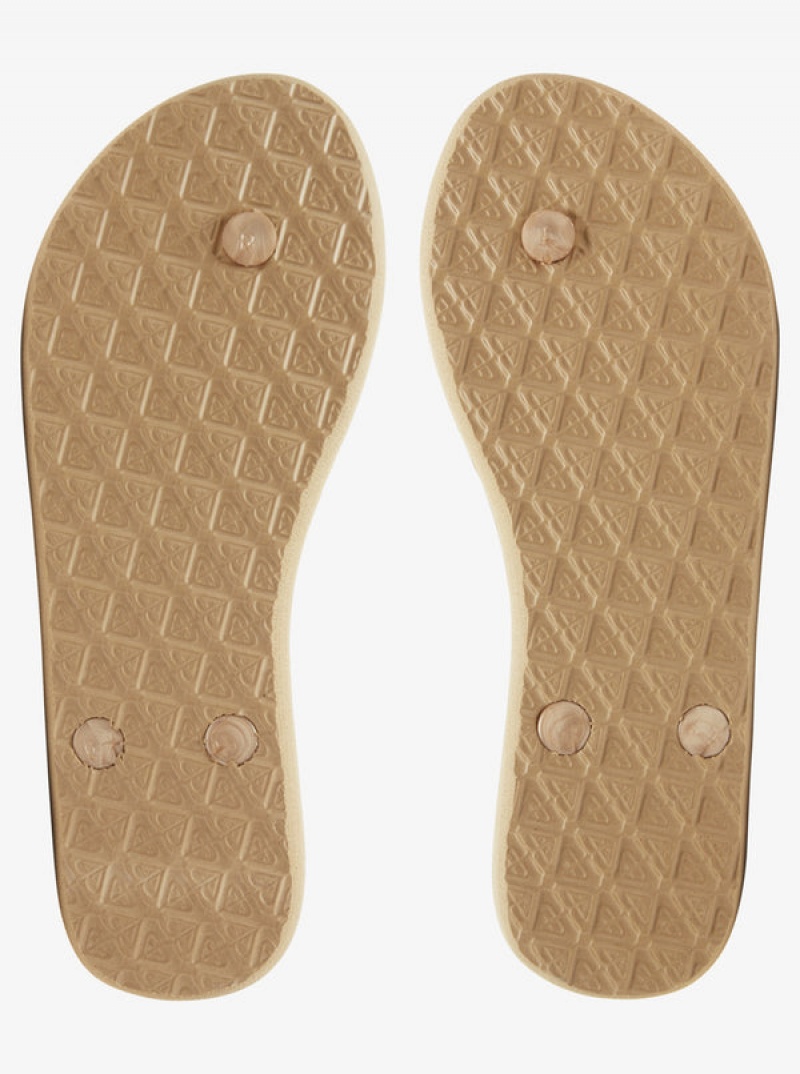 Roxy Viva Flip Flops | PMGI-69318