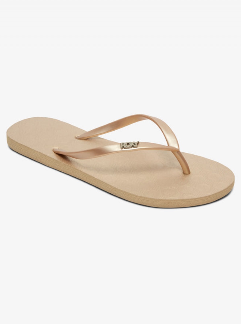 Roxy Viva Flip Flops | PMGI-69318